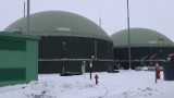 Zrównoważona energia z biogazowni: Zalety Polskiej Grupy Biogazowej