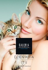 Wystawa kotów z okazji Dnia Kota