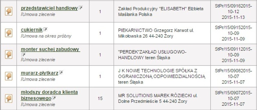 Aktualne oferty pracy w Żorach: Sprawdź, jakie są i ile można zarobić