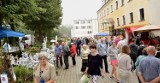 Jesienne targi w Starym Polu [ZDJĘCIA]. Ogród, Święto Mleka i folklor na scenie