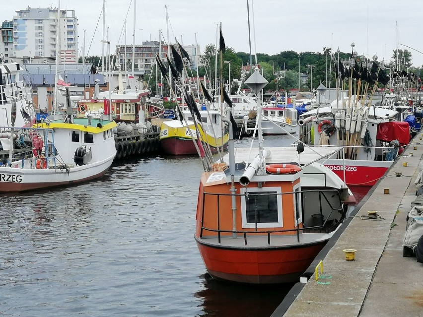 Port rybacki w Kołobrzegu (łodzie przybrzeżne)