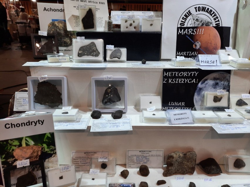 Kamienie księżycowe, agaty, selenity, ametysty na giełdzie minerałów, biżuterii i skamieniałości GeoExpo w Radomiu. Zobacz zdjęcia