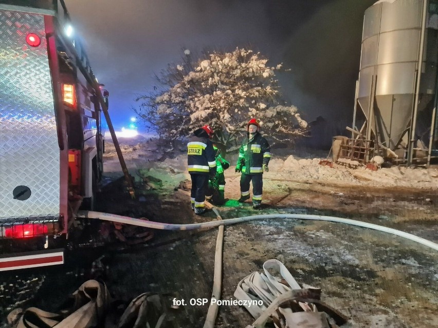 2 grudnia w nocy doszło do pożaru kurzej fermy w Rębie (gm....
