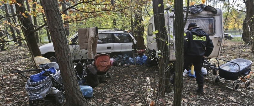 Bezdomni założyli obozowisko w lesie koło Trasy Północnej