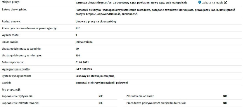 Nowy Sącz/Powiat Nowosądecki. Aktualne oferty pracy w Sądeckim i Powiatowym Urzędzie Pracy [ZDJĘCIA] 16.03.2021