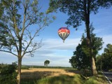 Rodzinny piknik lotniczy w Gdańsku. Jakie atrakcje?