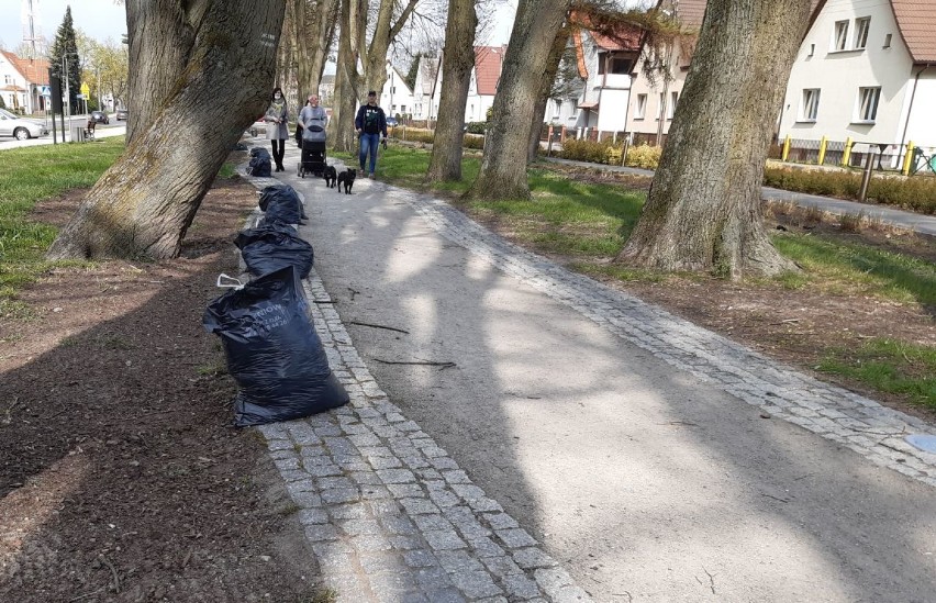 Aleja św. Jerzego wygląda znacznie lepiej. Pracownicy PGK Goleniów zrobili porządek