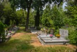 Od lipca wielkie zmiany na cmentarzach w Poznaniu