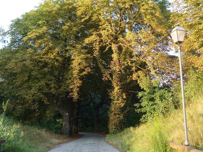 Na Wyspie Portowej, nad Martwą Wisłą znajduje się zabytkowa...