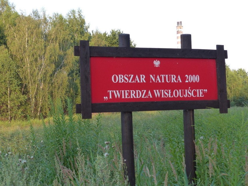 Unikalną architekturę twierdzy kryją obszary bujnej zieleni....