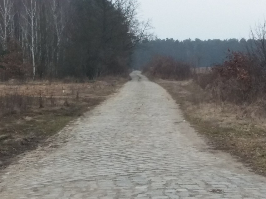 Tą drogą zabójcy wieźli ofiarę.