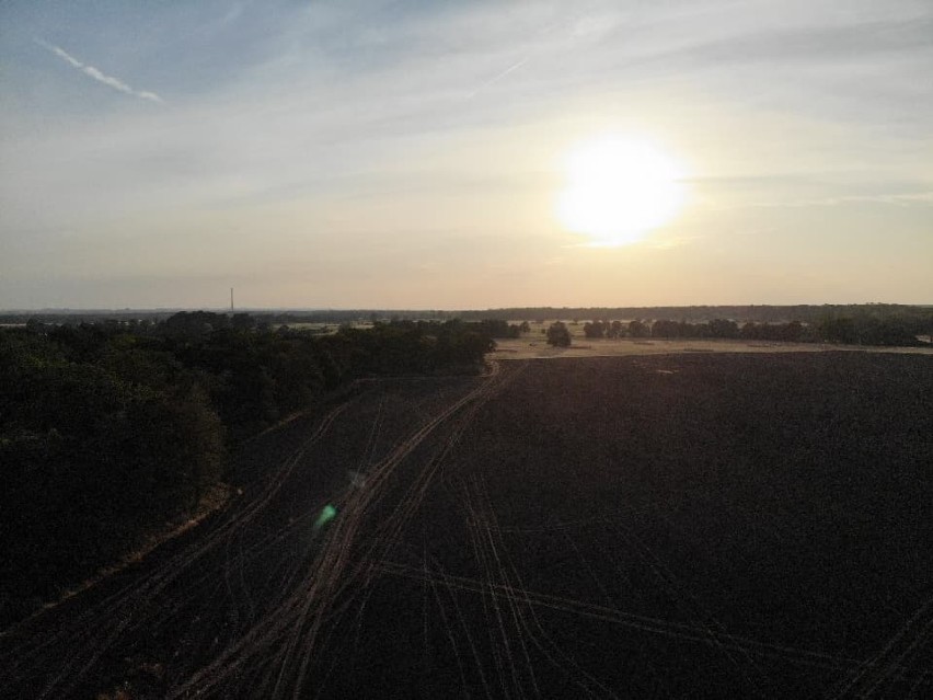 Wielki pożar koło Droglowic - nowe zdjęcia z drona
