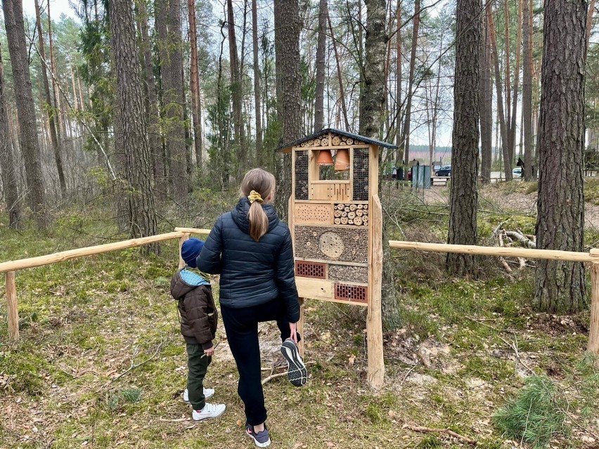 „Hotele dla owadów” powstały na terenie Nadleśnictwa...