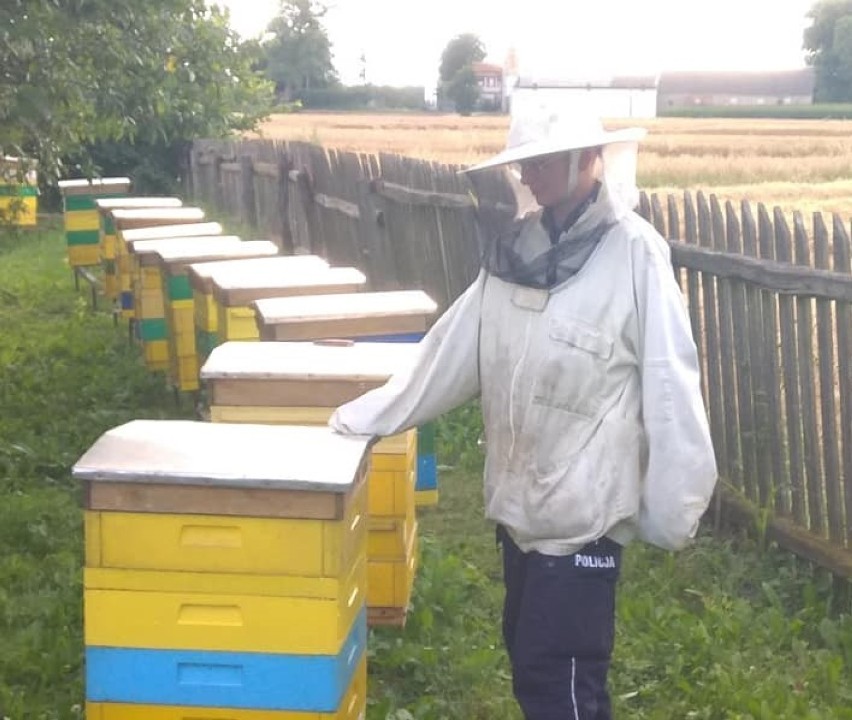 Policja z Wągrowca bada co było przyczyną śmierci pszczół