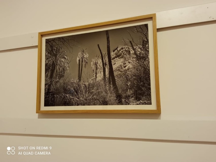Wystawa fotografii Tytusa Grodzickiego w Młodzieżowym Domu Kultury w Chodzieży
