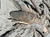 Trzcianka: Znaleziono granat moździerzowy z okresu II wojny światowej 