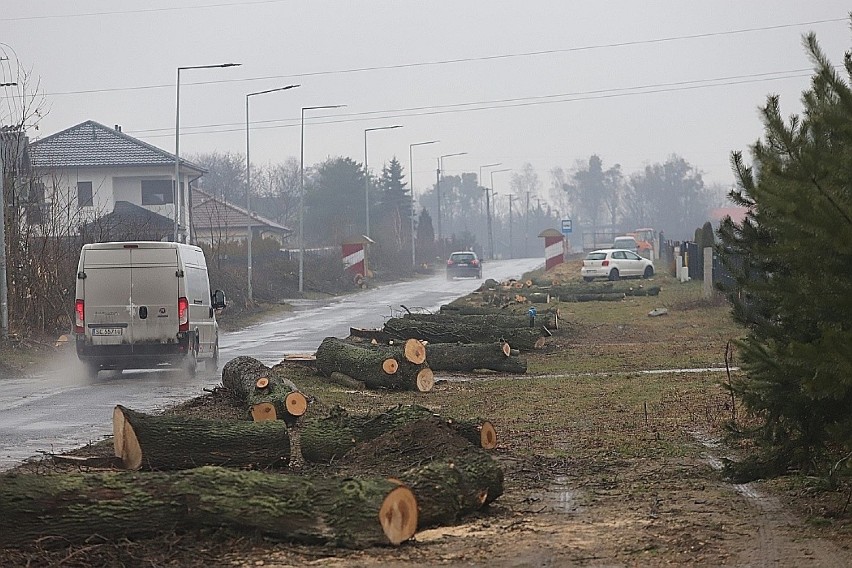 Wszystkie drzewa zostały wycięte  na 700-metrowym odcinku...