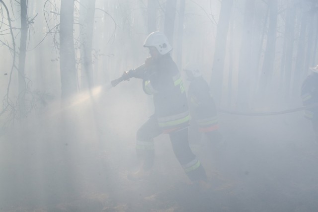 Walka z pożarem lasu - jak widać na tym archiwalnym zdjęciu - jest niezwykle trudna