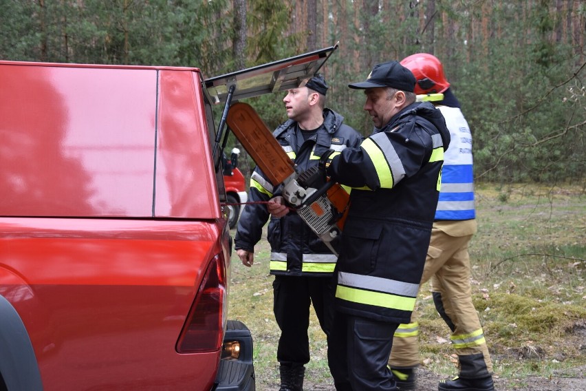 Ćwiczenia strażackie w Wypalankach. Druhowie gasili pożar lasu [ZDJĘCIA]