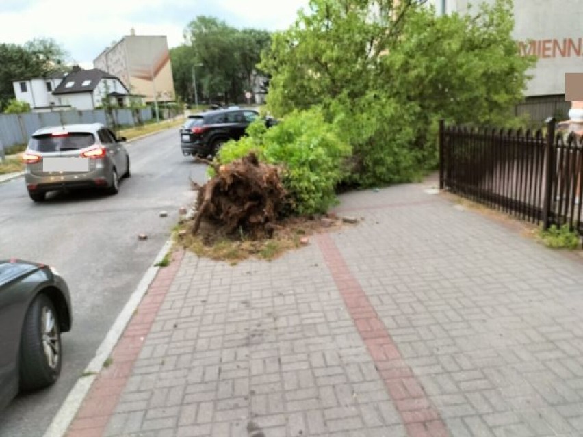 Burza i wichura nadciągnęła nad Szczecinek i okolice. Są straty [aktualizacja]