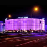 Budynki w Kielcach podświetlone na fioletowo. Co to za akcja? 
