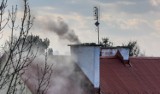 Opolski Alarm Smogowy: Trzeba zmienić zasady dotowania modernizacji źródeł ciepła