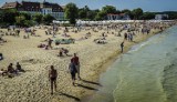 Prognoza zakwitu sinic na trójmiejskich plażach. Sinice w Bałtyku