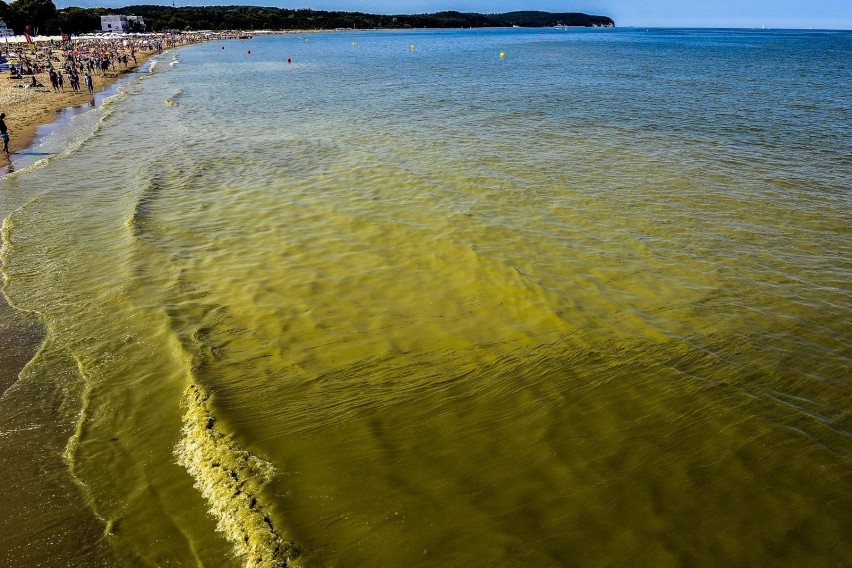 21.07.2019, Sopot