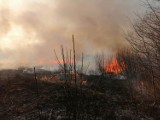 Gorlickie. Ogromny pożar traw w Krygu i Lipinkach. Świadkowie twierdzą, że dym widać było z kilku kilometrów [ZDJĘCIA, VIDEO]