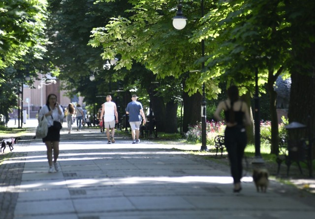 Ten tydzień rozpoczął się wyjątkowa pięknie. Słoneczna pogoda zachęca do spacerów. Idealnym miejscem do odpoczynku od zgiełku miasta jest park w centrum Radomia imienia Tadeusza Kościuszki. 

W poniedziałek, 6 czerwca, spacerowały tutaj całe rodziny. W parku można było również spotkać rowerzystów. Zobaczcie zdjęcia >>>