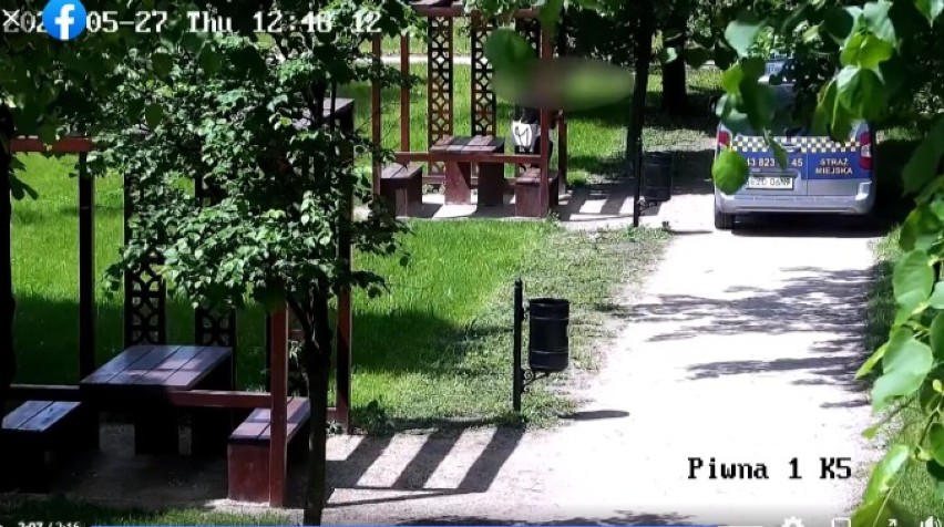 Niszczą ławki w parku i nad Kępiną. Straż Miejska w Zduńskiej Woli ich ściga ZDJĘCIA