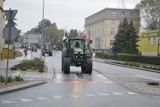 Rolnicy protestują dziś na ulicach Sztumu - wolno jadące ciągniki utrudniają ruch pojazdów [ZDJĘCIA]