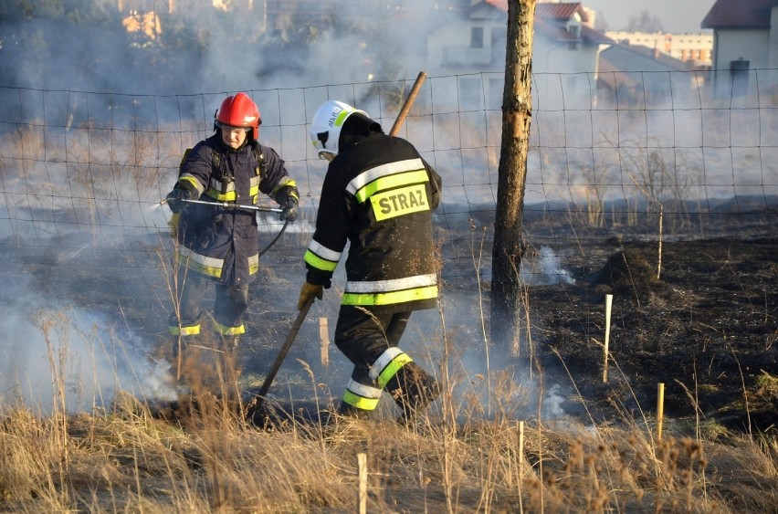 Znów płoną trawy. Ludzie przestańcie podpalać - proszą strażacy [ZDJĘCIA]