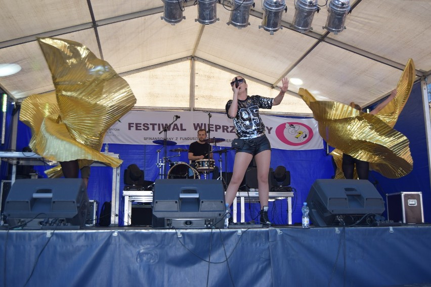Festiwal Wieprzowiny: Koncert Cleo