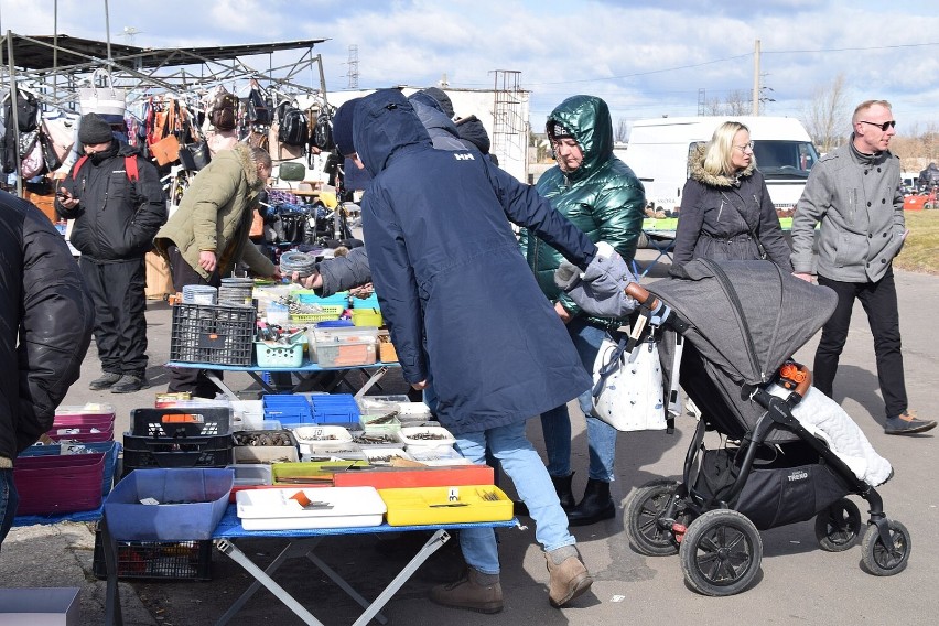 Tak było na Pchlim Targu w wietrzną niedzielę [12.03.2023 - zdjęcia, ceny]