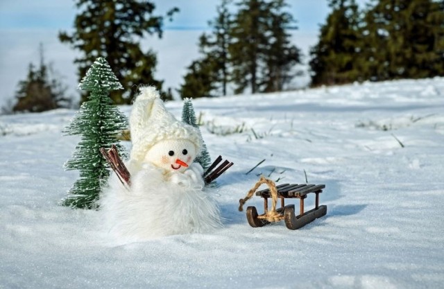 W tym roku szkolnym ferie zimowe będą odbywać się we wspólnym dla całej Polski terminie: od 4 do 17 stycznia