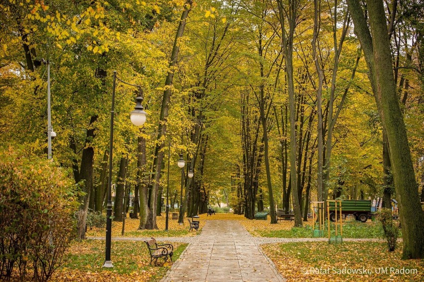 Październik i listopad na ulicach Radomia jest zachwycający....