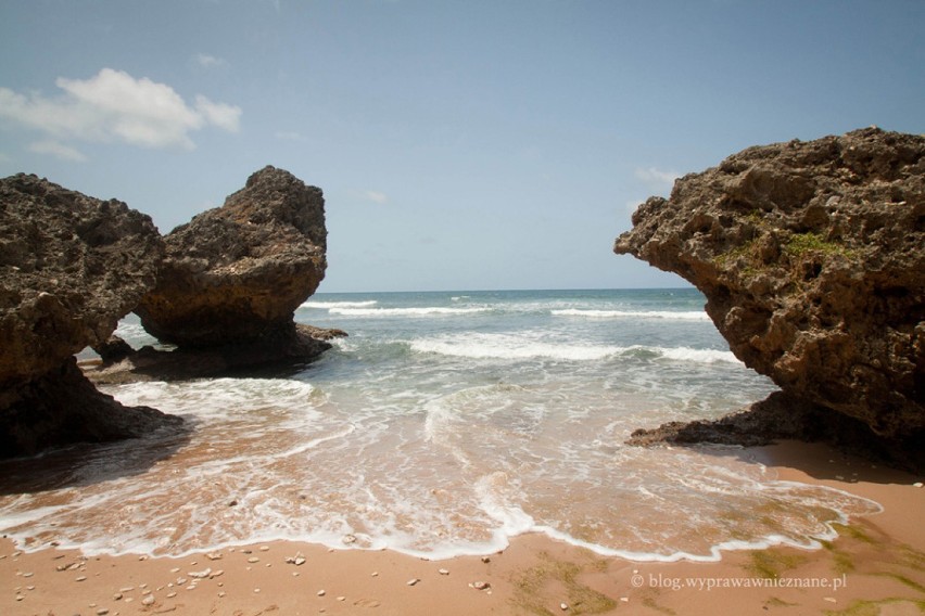 Dzikie wybrzeże na wschodnim wybrzeżu Barbadosu