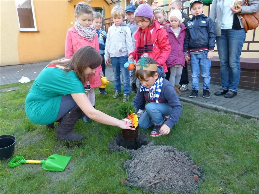 Ekologiczne przedszkolaki w Zduńskiej Woli