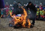 Wolsztyn. Tak witano wiosnę w 2016 roku [ZDJĘCIA]