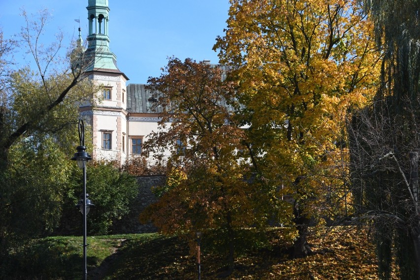 Kielce w jesiennej szacie. Oto zdjęcia miasta w barwach...