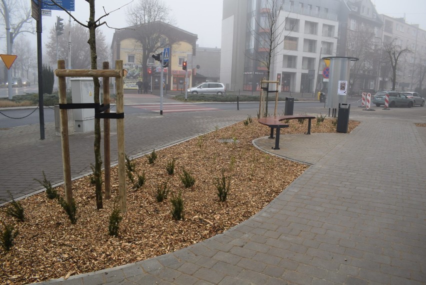 Nowy park kieszonkowy na ul Chrobrego i Lecha. Nowe ławki i zieleń