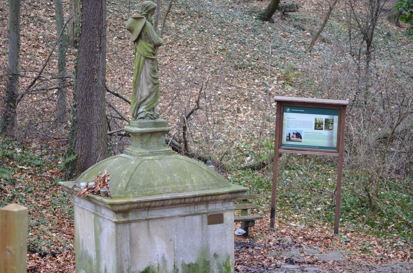 Czy wielki, podziemny wyciek wody w kopalni sprawi, że wyschnie źródełko w Jakubowie?