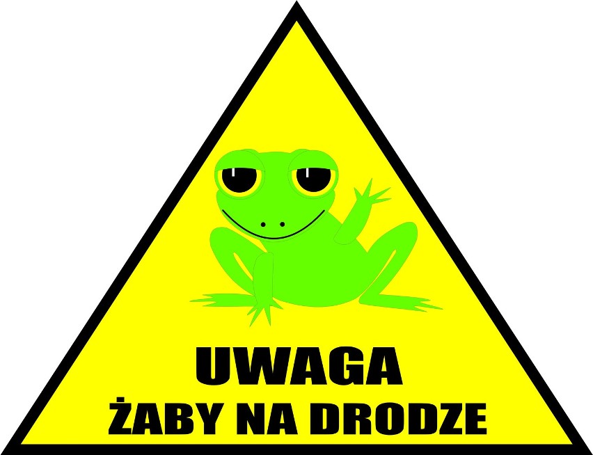 Daj przejść żabie! Gdańsk realizuje program ochrony płazów