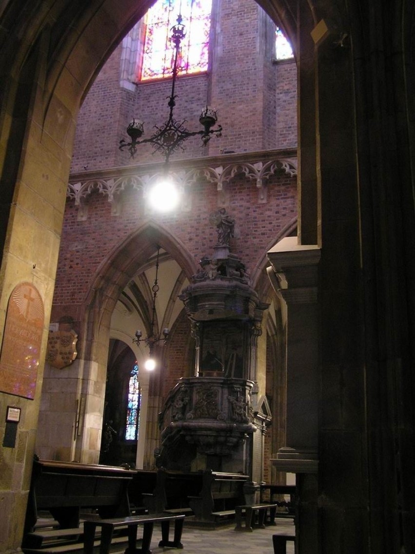 Widok na nawę główną w katedrze. Fot. Kamil Drejer