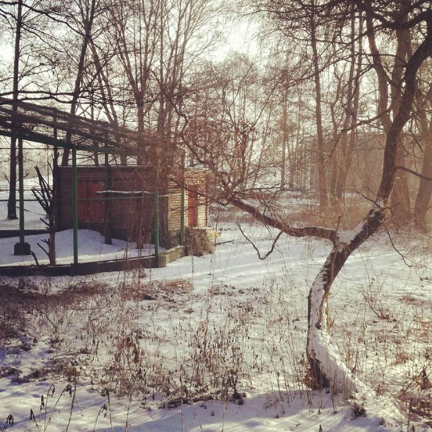 Centrum Edukacji Przyrodniczej zaprasza na ferie zimowe