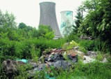 Czyżyny: Szafrańska pełna śmieci