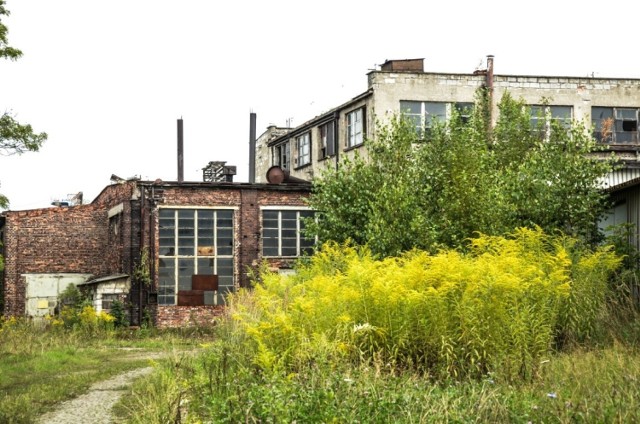 Dawne Przedsiębiorstwo Robót Wiertniczych "Hydropol" - opuszczone budynki 2015/2016 rok