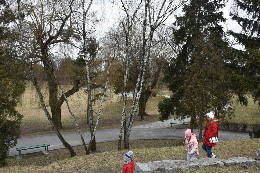 Wkrótce rozpocznie się przebudowa Parku Miejskiego w Chełmie