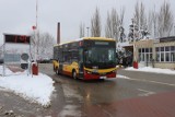 Pierwszy mini autobus w Łodzi. MPK kupiło 24 mini autobusy [ZDJĘCIA]